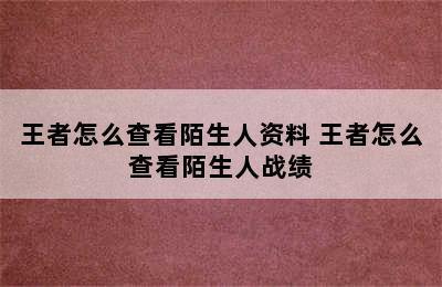 王者怎么查看陌生人资料 王者怎么查看陌生人战绩